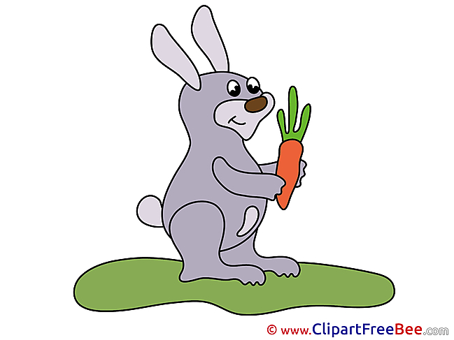 Carrot Hare download printable Illustrations