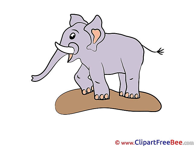 Clipart Elephant  free Illustrations