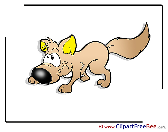 Coyote Clipart free Illustrations