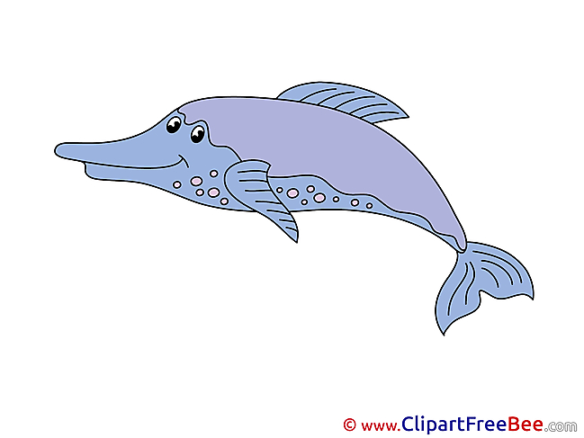 Dolphin Clip Art download for free