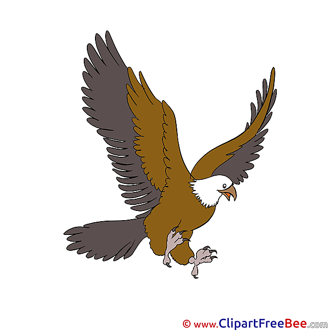 Eagle free Cliparts for download