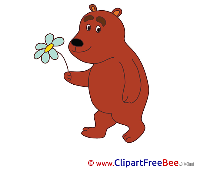 Flower Bear Clipart free Illustrations