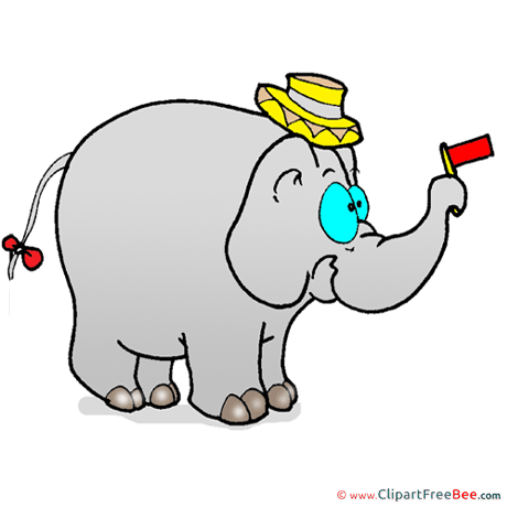 Hat Elephant Pics free download Image
