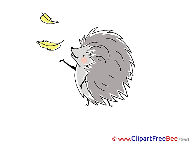 Leaves Hedgehog download Clip Art for free