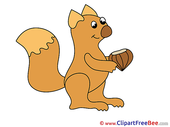 Nut Squirrel Clipart free Illustrations