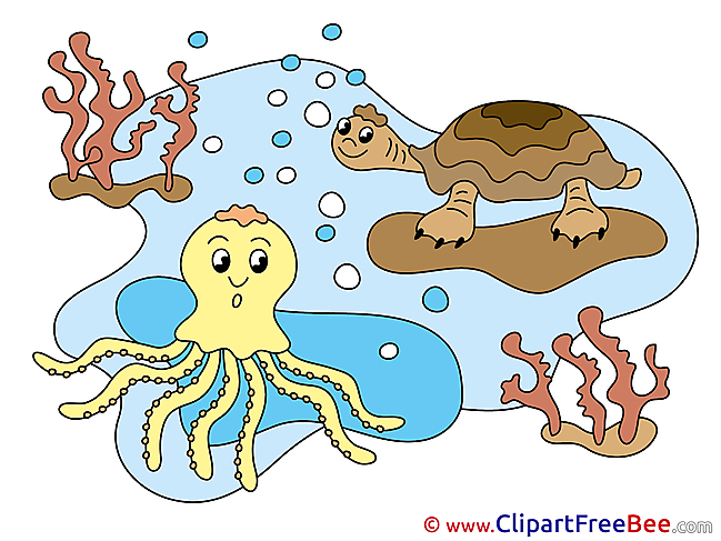 Ocean Octopus download Clip Art for free