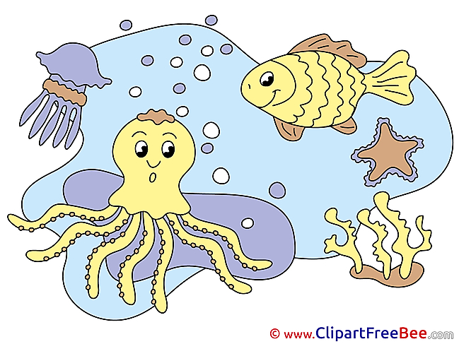Octopus Fish Clipart free Image download