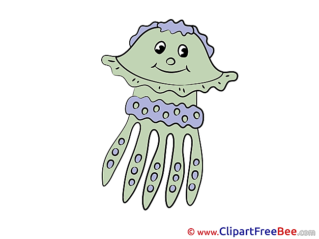 Octopus free Cliparts for download
