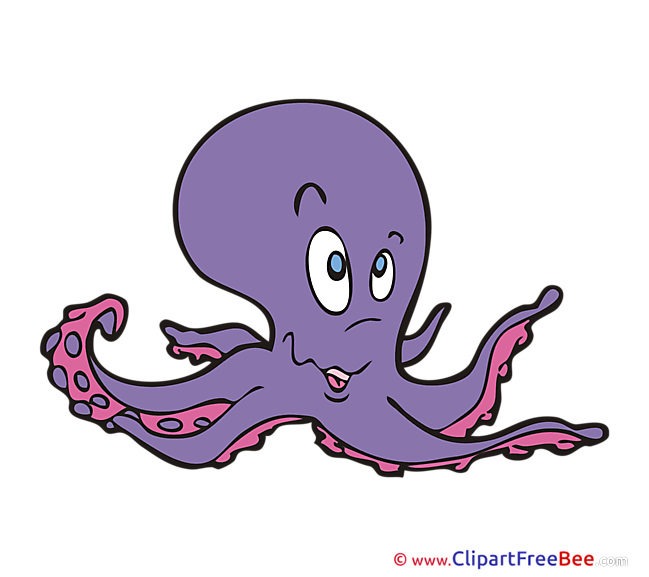 Octopus Pics download Illustration