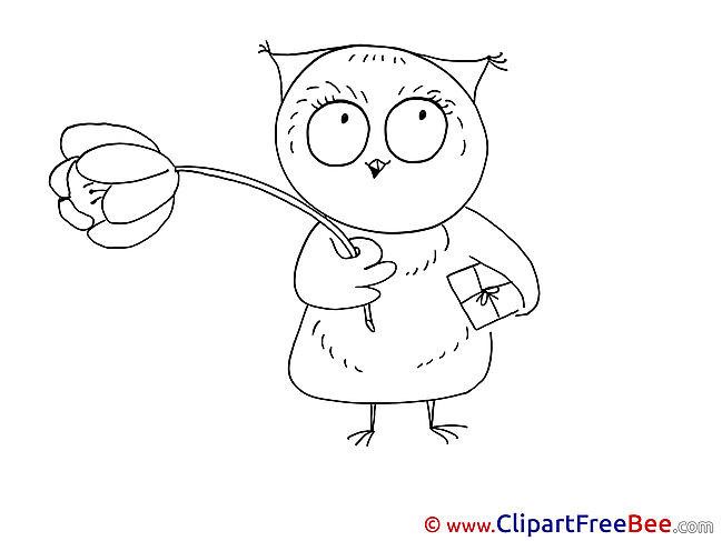 Owl Clipart free Illustrations
