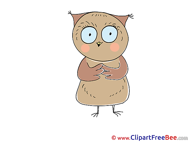 Owl Pics free Illustration