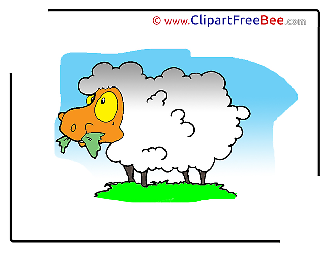 Pics Sheep free download Image