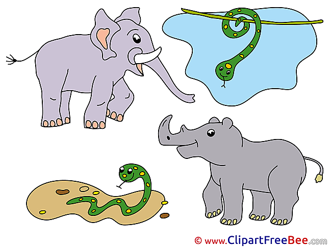 Rhino Snakes Clip Art download for free