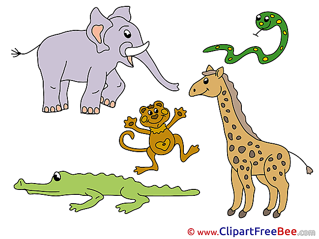 Safari Elephant download Clip Art for free