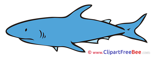 Shark free Cliparts for download