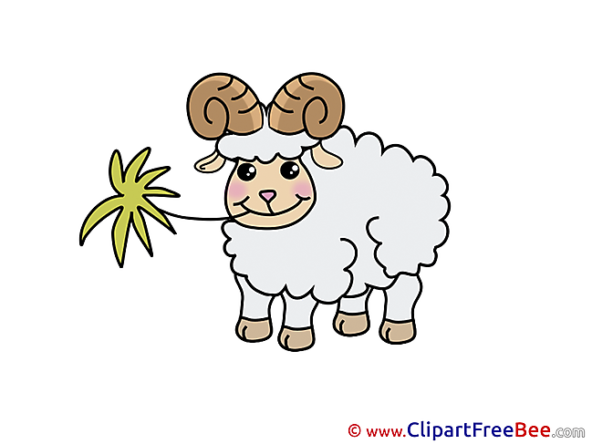 Sheep Clipart free Illustrations