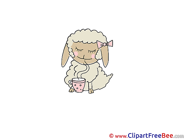 Tea Sheep Pics free download Image