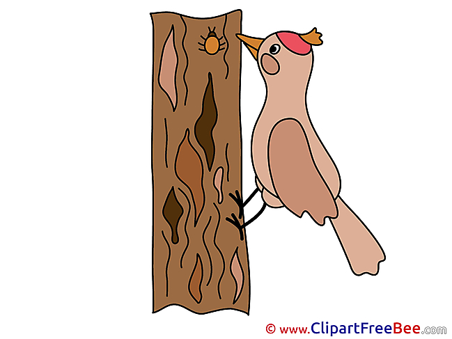 Woodpecker Cliparts printable for free
