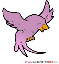 Bird Singer Clipart free Illustrations
