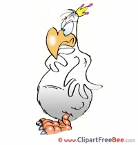Cock Clipart free Illustrations