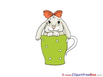 Cup Hare Images download free Cliparts