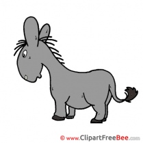 Donkey printable Illustrations for free