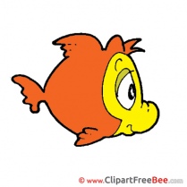 Fish Pics free Illustration