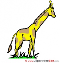 Giraffe free printable Cliparts and Images