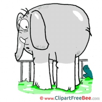 Grey Elephant free printable Cliparts and Images