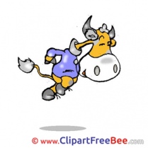 Happy Bull Clipart free Illustrations