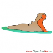 Hippo download Clip Art for free