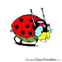 Ladybug download Clip Art for free