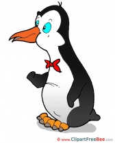Penguin free Cliparts for download
