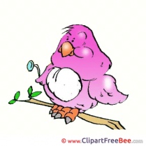Pink Bird Pics download Illustration