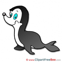 Seal free Cliparts for download