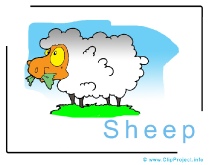 Sheep Clip Art Image free - Animals Clip Art Images free