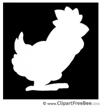 Silhouette Cock free Illustration download