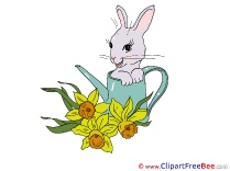 Watering Can Rabbit download printable Illustrations