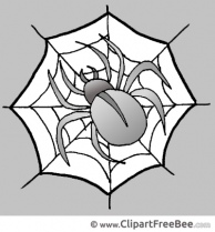 Web Spider Clip Art download for free