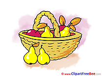 Basket Fruits download Autumn Illustrations
