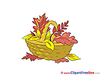Basket Leaves Pics Autumn Illustration