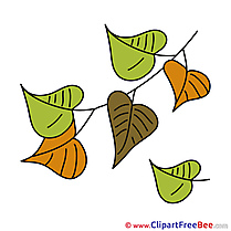 Clip Art Leaves download Autumn