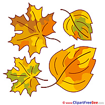 Clipart Leaves Autumn free Images