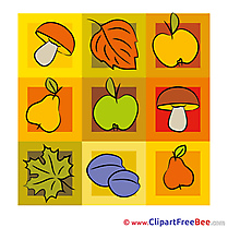 Decoration Fruits Clipart Autumn Illustrations
