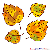 Download Leaves Clipart Autumn Cliparts