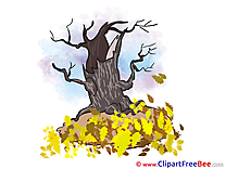 Dry Tree free Illustration Autumn