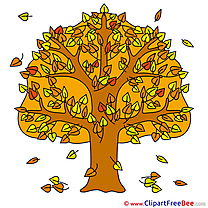 Falling Leaves Autumn Illustrations for free