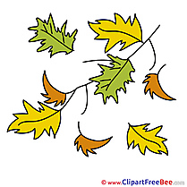 Free Leaves Cliparts Autumn