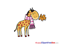 Giraffe with Leaf download Autumn Illustrations