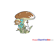 Mushroom Dwarf Autumn download Illustration